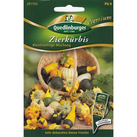 Quedlinburger Zierkürbis Kleinfrüchtige Mischung - Blumensamen (1/2)