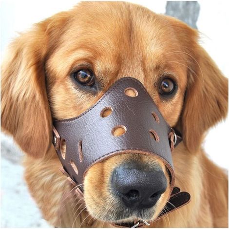Leather Dog Muzzle Anti-Barking for Small and Medium Dogs L (1/5)