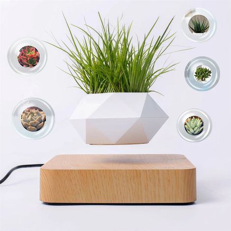 Pot de fleurs magnétique flottant en lévitation, bonsaï à Air, Vase de plante, Rotation à 360 degrés, jardinière en Pot pour décor de bureau et de maison(couleur claire) (1/5)