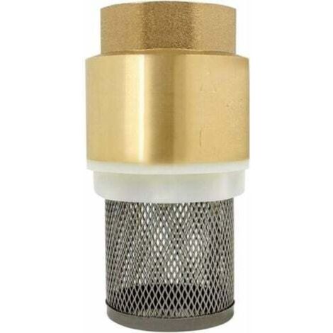 Clapet crepine anti retour 1/2、3/4、1、2 pouce - vanne non retour clapet anti-retour pompe (2 pouce)--INHHUB