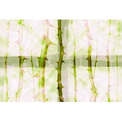 Papier peint panoramique plante vert idéal couloir Tapisserie panoramique salon motif épine Papier peint panoramique nature avec ronce (1/3)