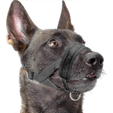 Muselière pour chien anti-morsure, aboiement et mastication, avec rembourrage doux et boucle réglable (1/5)