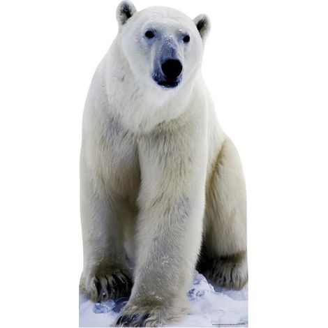Figurine en carton Ours polaire (ours blanc) -Haut 176 cm