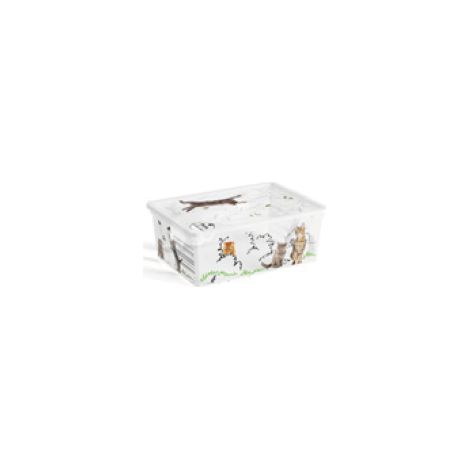 Keter CONTENITORE C BOX 37X26XH14CM PETS COLLECTION (1/2)