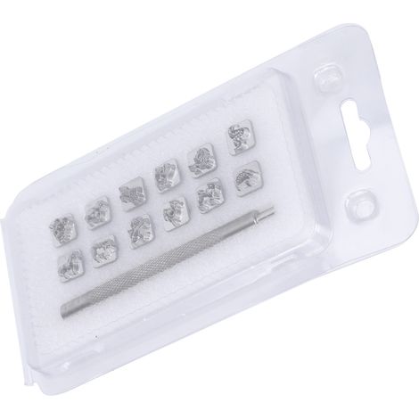 Kit de 12 Tampons à Estamper en Acier pour Cuir DIY avec Poignées (Signes du Zodiaque) - Outillage Maroquinerie (1/5)