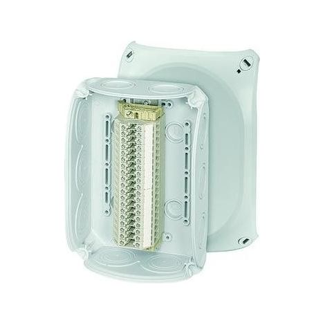 Hensel Klemmenkasten 4qmm 19f Kst 180x130x77mm AP 10einf IP66 RK1019T (1/5)