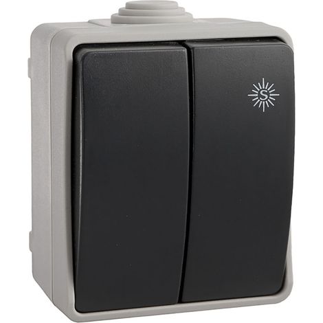Wirtschaftlicher doppelter wasserdichter Schalter  Schrumpfverpacktes EDM IP44 R64037 (1/3)