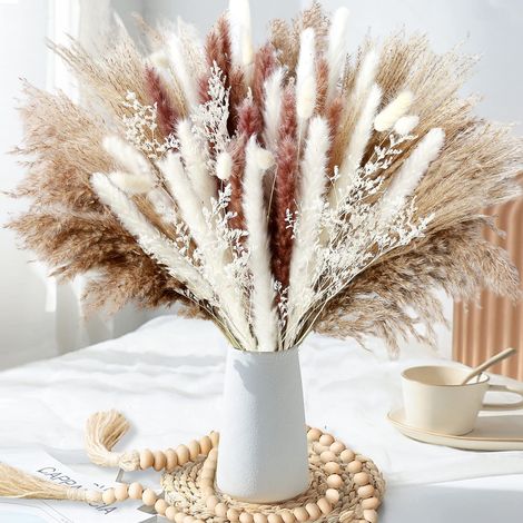 Pampas Grass - 80 Pièces - 17 Pouces - 6 Variétés - Décoration Boho Intérieure Extérieure (1/5)