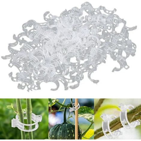 300Stk Pflanzenclips Sécurisé de Plantes en Plastique Clip, Tomatenklammern, Pflanzenklammern Petit pour Tenir Jardin Plantes et des Fleurs de Gemüsefrucht (1/5)