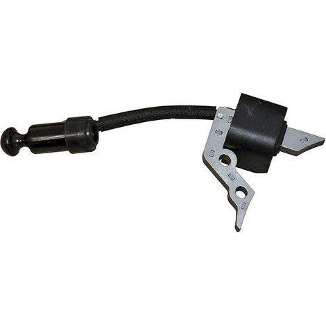 Bobina de encendido Trex - Loncin para motor Y100v. Origen Y1b20000000.