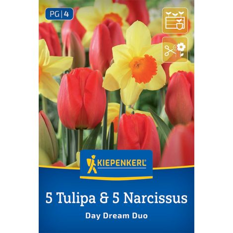 Kiepenkerl Herbstblumenzwiebel Tulpen Narzissen Day Dream Duo 10 Stück (1/2)