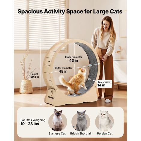 Roue pour Chat 120 cm Roue d'Exercice pour Chat 8,6-12,7 kg Tapis Roulant pour Chats Intérieur pour Course Marche Entraînement, avec Piste en Moquette, Mécanisme de Verrouillage, Couleur Bois (1/5)