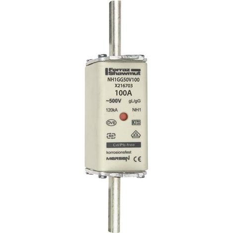 Mersen 1B163.000000 Fusibile NH Misura fusibile = 1 100 A 500 V 1 pz.