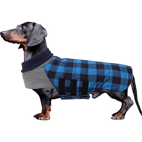Manteau Chien Hiver pour Teckel Imperméable Pull Chien Réglables Manteau Teckel Col Montant Doublure Chaude Veste pour Petit Chiot Teckel Vert S (1/4)