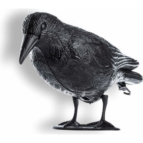 Corbeau Noir, répulsif à Pigeons et répulsif à Pigeons en Plastique, répulsif à Oiseaux, antiparasitaire Naturel, Protection Contre Les Oiseaux agaçants (1/4)