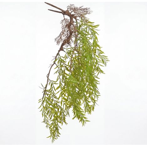 Asparagi artificiali, pianta pendente per terrario con radici - BioPlant Asparagi pendenti 70cm (1/4)