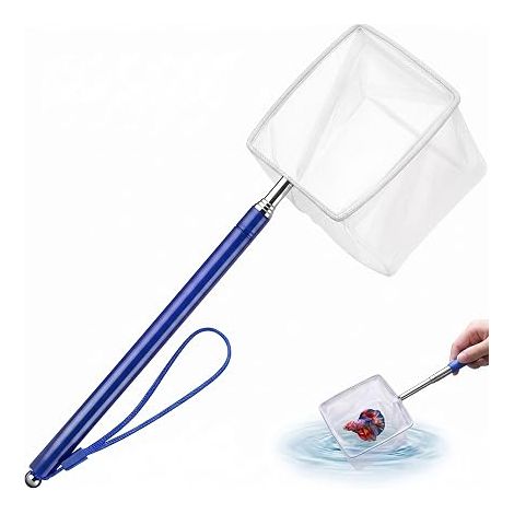 Épuisette Aquarium Télescopique Extensible jusqu'à 1m, Filet à Crevettes Maille Fine Carrée 8cm, Manche en Acier Inoxydable pour Petit Bassin, Spa et Piscine, Bleu (1/5)