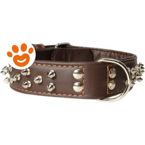 Camon Dog & Cat Collare In Pelle con Borchie - 50x60 cm - Accessori