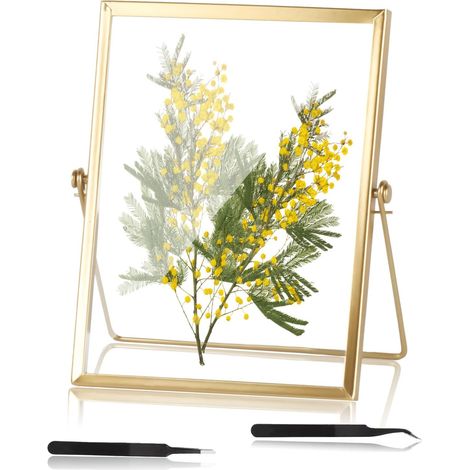 Cadre Transparent, 15x20cm Cadre Photo Moderne Doré, Cadres en Verre pour Fleurs Pressées, Cadre Photos Flottant Transparent pour Affiches Photos Certificats Décoration Table Murale (1/5)