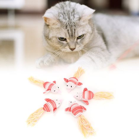 Lot de 5 peluches roses pour chat, jouant avec de l'herbe à chat. Forme mignonne et son. (1/5)