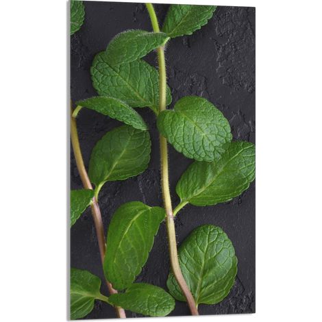 Tabla de cortar de vidrio 30x52 Menta (1/5)