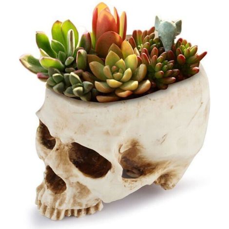Pot De Fleurs - Tête De Mort En Résine - Décoration Intérieure Halloween - 1 Pièce (1/4)