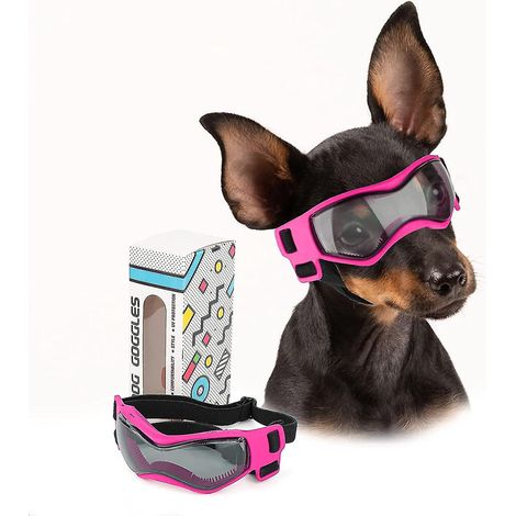 UV-Schutzbrille für kleine und mittelgroße Hunderassen, wind- und staubabweisend, mit verstellbaren Riemen.
