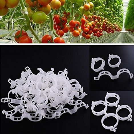 Lot de 100 tuteurs blancs pour plantes grimpantes, favorisant une croissance verticale et saine des légumes, tomates et autres plantes grimpantes - 2,5 cm x 3 cm (1/5)