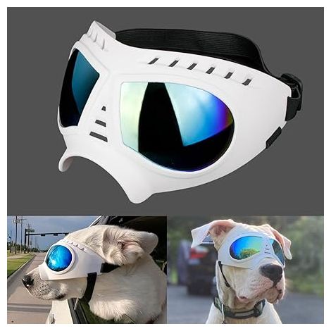 AGE Lunettes de protection pour chiens Protection des yeux Bretelles réglables Facile à mettre Lunettes de soleil bloquant les UV Pour chiens de taille moyenne/grande Blanc (1/3)