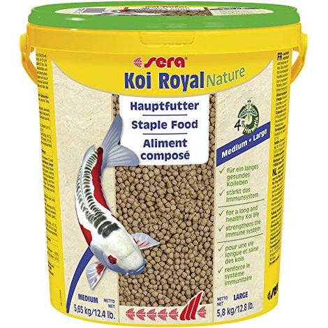Sera Koi Royal Large alimento per giovani carpe Koi (1/4)