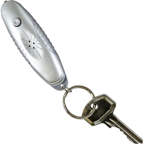 Répulsif anti-moustiques portable GG86 avec porte-clés lampe torche LED (1/3)