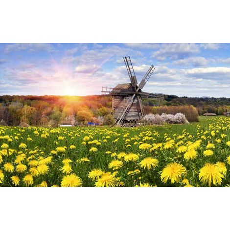 Tableau paysage moulin à vent ukraine - 80x50 cm (1/5)