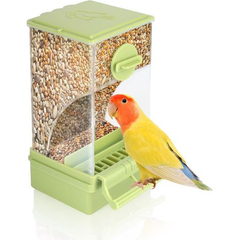 Distributeur de nourriture automatique pour oiseaux, mangeoire anti-gaspillage pour cage, réservoir transparent pour perruche et petit perroquet