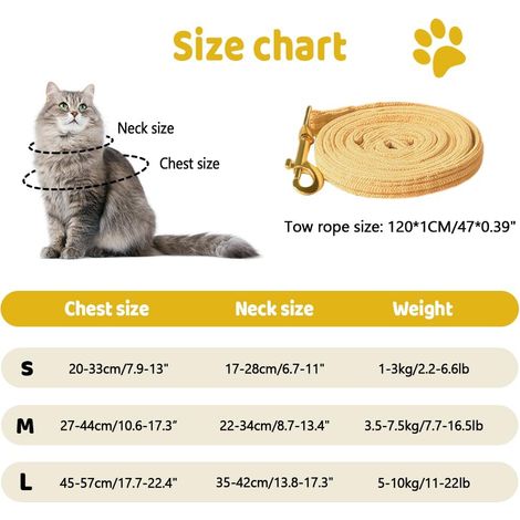 Harnais et Laisse pour Chat Motif Abeille Ensemble Confortable pour Promenade et Sortie (1/5)