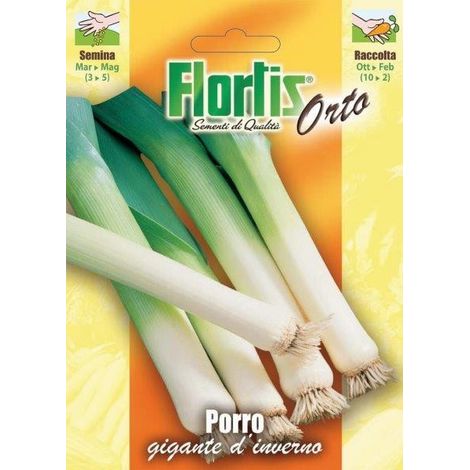 PORRO GIGANTE D'INVERNO