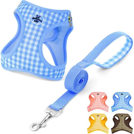 Harnais pour Chien avec Laisse Réglable et Confortable, Ensemble de Harnais en Maille Respirante avec Bandes Réfléchissantes pour Sécurité Nocturne, Convient pour Petits et Moyens Chiens (1/5)