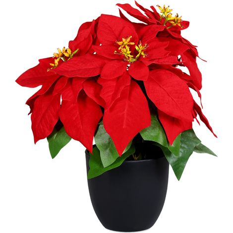 Künstlicher Weihnachtsstern im schwarzen Topf - 30 cm - Kunstblume Poinsettia in naturgetreuer Nachbildung - Christblume Deko Pflanze Seidenblume Kunstpflanze Winterblume mit samtigen Blüten