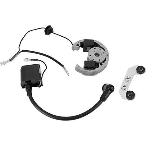 Kit Bobine Stator - Pour Moto 50 SX L/C Pro Sr/Jr - Aluminium - Compatible Directe - 1 Pièce