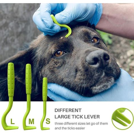 Ensemble de 6 pinces à tiques professionnelles pour chiens et chats, adaptées à toutes les tailles de tiques. (1/5)