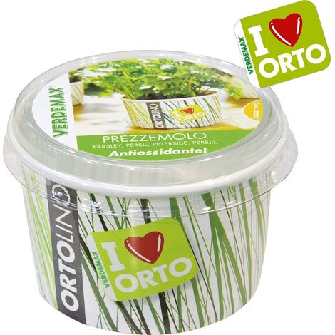 KIT ORTOLINO PREZZEMOLO (1/2)
