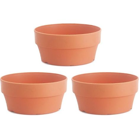 3 bonsaïs en plastique (1/2)
