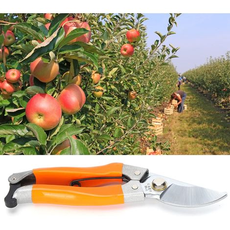 Forbici per rami da giardino Cesoie per raccogliere fiori con manico antiscivolo per potare i rami degli alberi