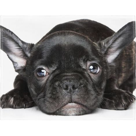 Couverture polaire douce - Bouledogue français noir - Pour canapé ou lit, Coton mélangé, Couleur 1., 150 x 200 cm (1/5)
