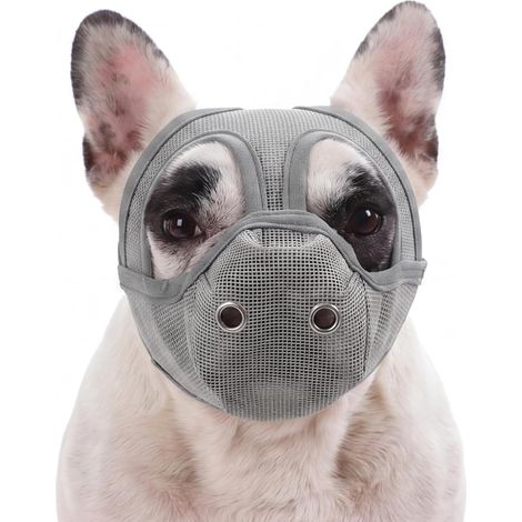 Muselière pour bouledogue français - Muselière pour chiens à nez court (1/5)