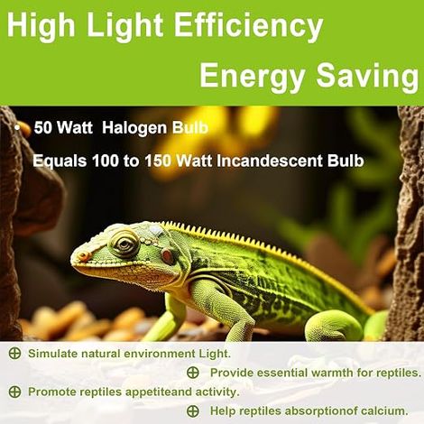Ampoule UVB UVA pour Reptiles et Amphibiens - Lampe à Chaleur pour Tortue, Dragon Barbu, Cage de Lézard (1/3)
