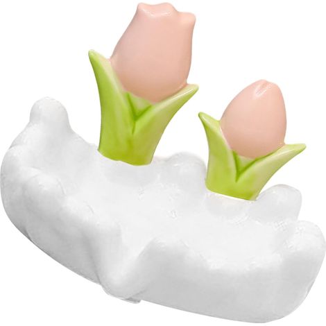 soap dishes with lids secure suction cup attachment for home (1/5)
