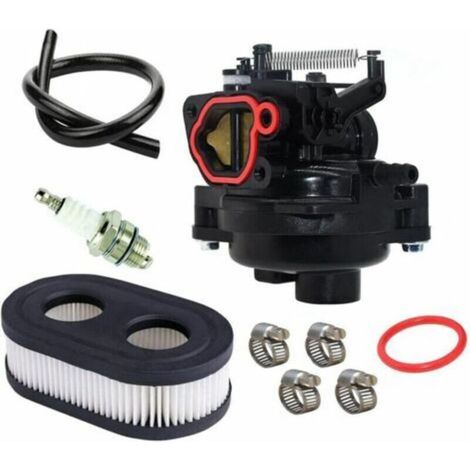 Lawnmower Accessories 799584 Carburetor for lawnmower 550ex/625ex (1/3)