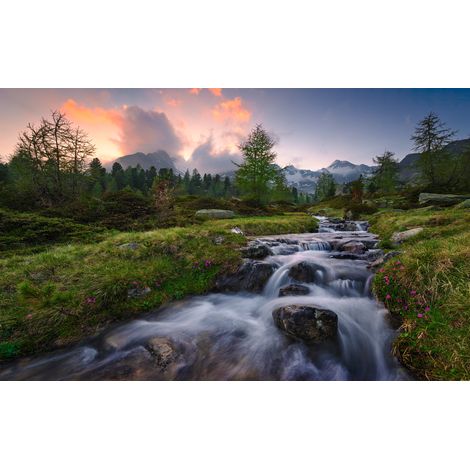 Papier peint panoramique naturel Paradis Sauvage (1/4)