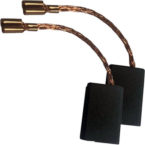 Juego 2 escobillas 102.306.06 para powx0611 powerplus
