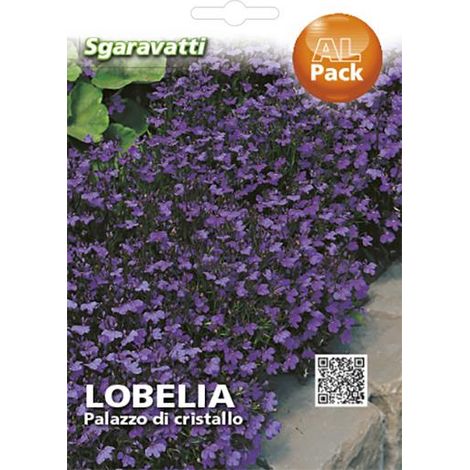 Semi per Prato Universale Lobelia Palazzo di Cristallo Sgaravatti 20 Pezzi